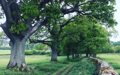 Old road between Bridge of Allan, Dunblane and Doune
