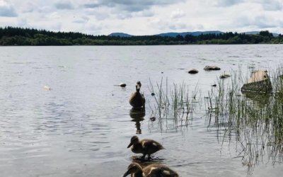 Lake of Menteith, Stirlingshire