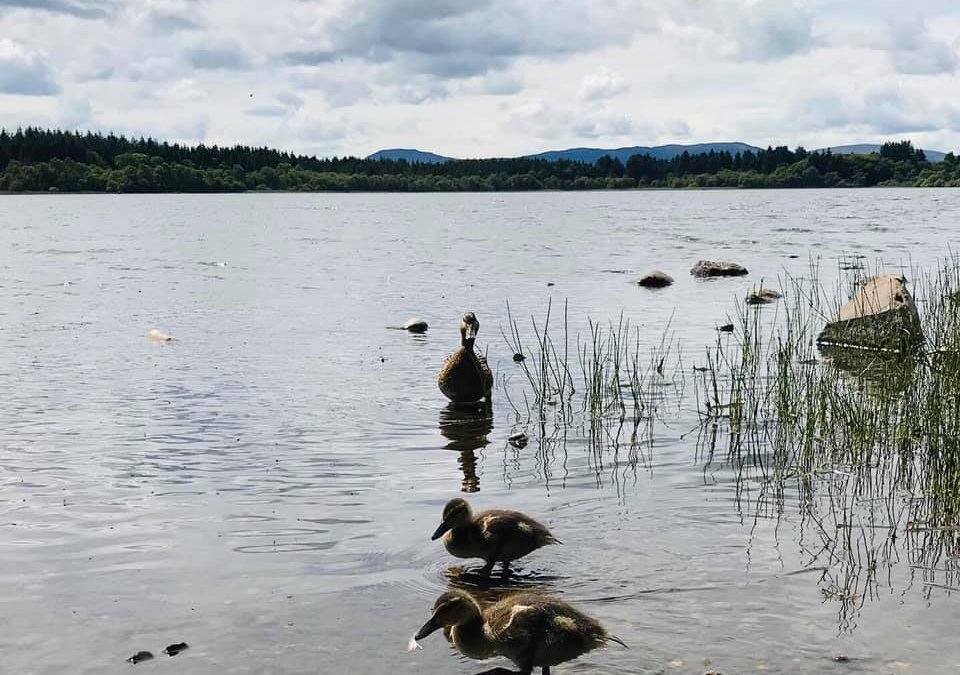 Lake of Menteith, Stirlingshire