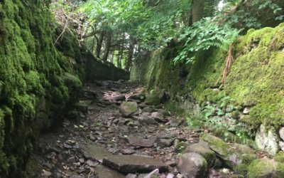 The Darn Walk, Bridge of Allan to Dunblane