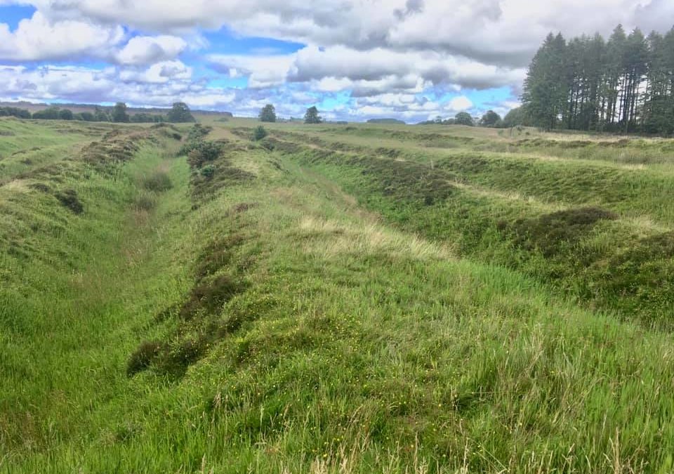 Ardoch Roman Fort, Braco, Perthshire