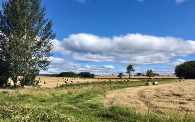 Norrieston Farm, The carse of Stirling