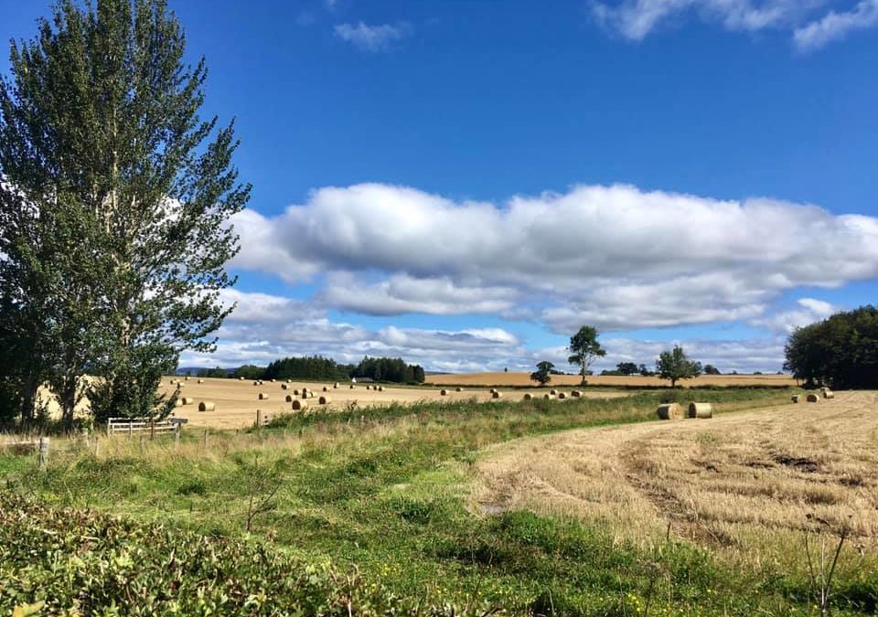 Norrieston Farm, The carse of Stirling