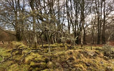 Colvey, Wester Coillechat, Doune