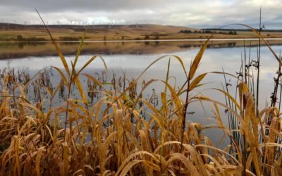 Moray Estate, Doune, Stirlingshire