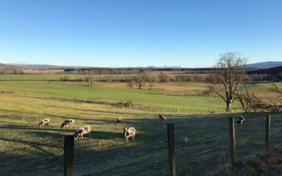 Gartmore, near Aberfoyle