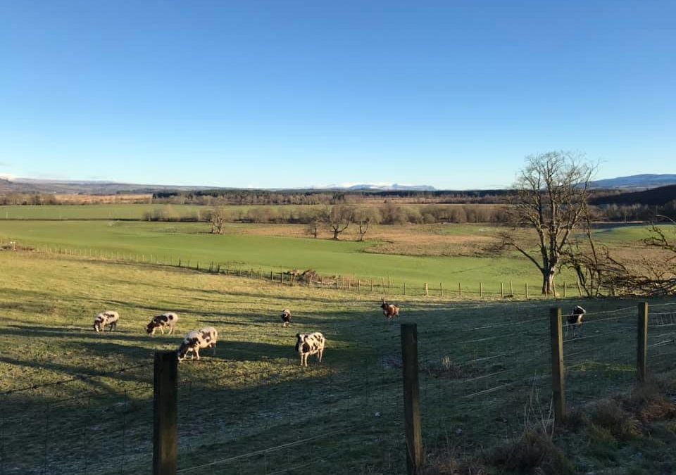 Gartmore, near Aberfoyle