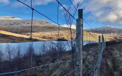 Glen Finglas, Trossachs, Stirlingshire