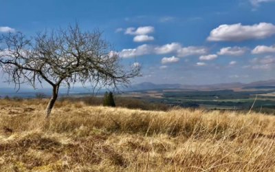 Sheriffmuir, Dunblane, Stirlingshire