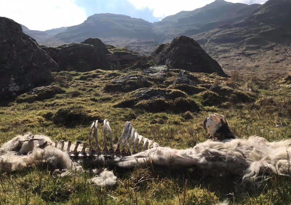 Ben Tulaichean, Stob a Choin and Stob Breac