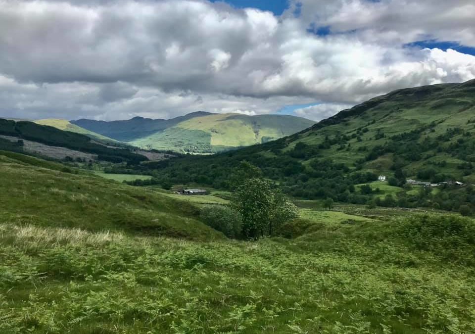 Glen Buckie, Perthshire, Scotland