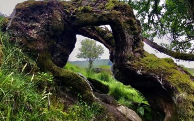 Lianach, Glen Buckie, Stirlingshire