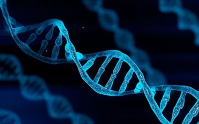 Introduction to Genealogical DNA