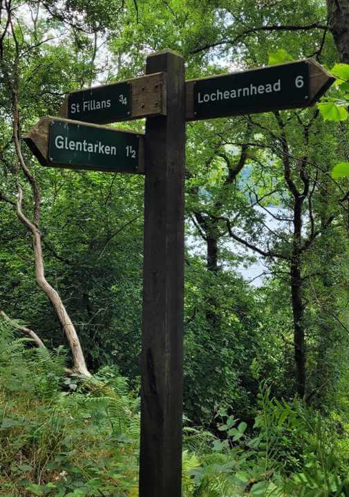 signpost in the woods surrounded by lush green trees