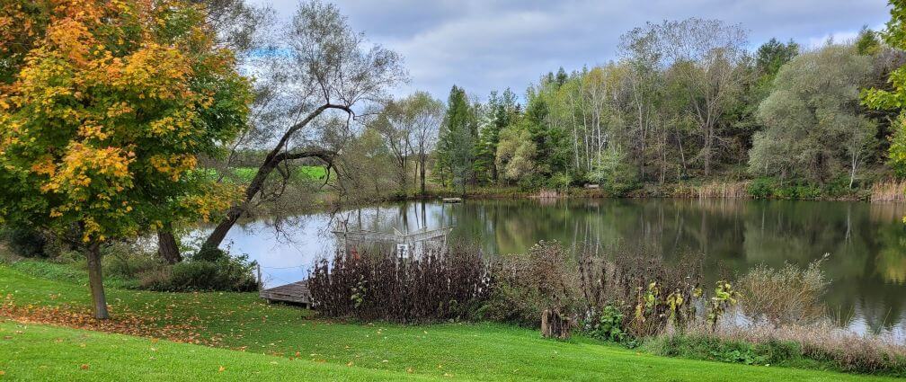 small pond surrounded by a manicured lawn and trees beginning to turn autumn colours. A small wooden dock protrudes onto the pond from the left.