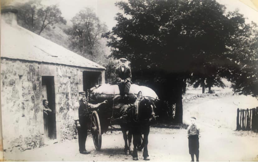 black and white phot c. 1900. Scottish farmer seated on a wagon, pulled by two horses, in front of his stone house 