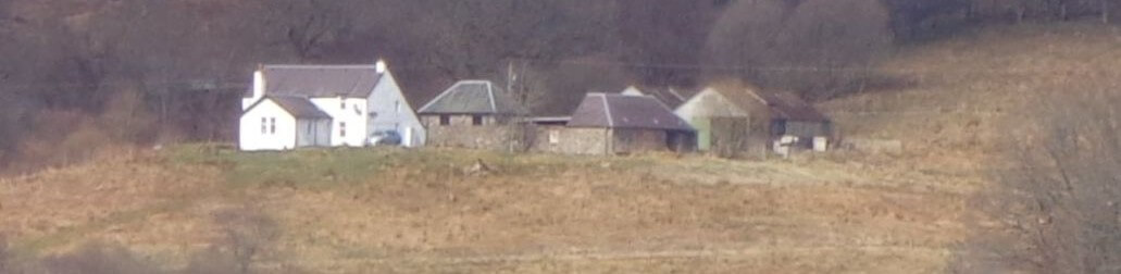 The Stewarts in Edraleachdach and Lorachan