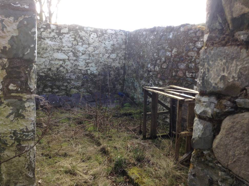 moss covered stone walls of the ruins of an old Scottish farm building with no roof