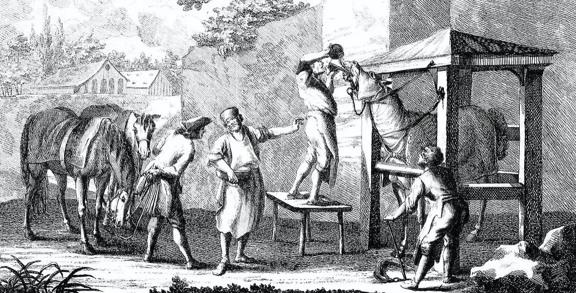 18th century style black ink drawing of a ferrier and stable hands caring for hourses in a stable
